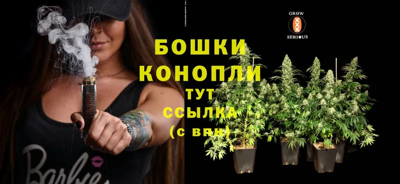 Канабис OG Kush  Фролово 